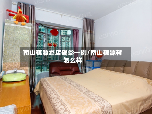南山桃源酒店确诊一例/南山桃源村怎么样