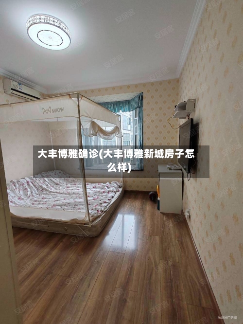 大丰博雅确诊(大丰博雅新城房子怎么样)-第3张图片