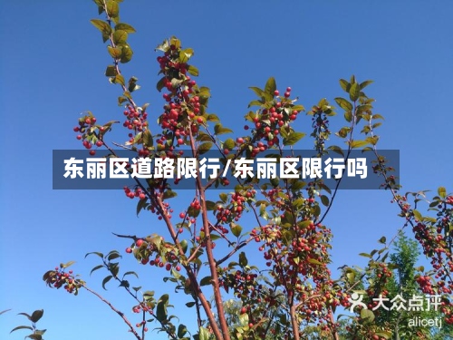 东丽区道路限行/东丽区限行吗-第2张图片