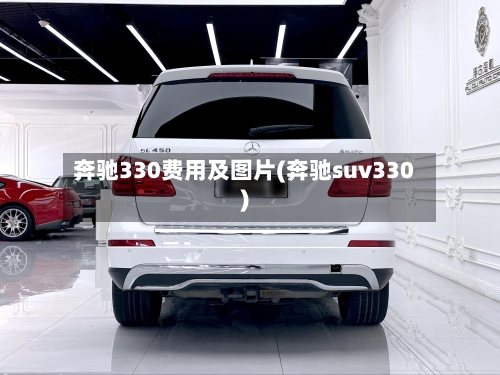 奔驰330费用及图片(奔驰suv330)-第2张图片
