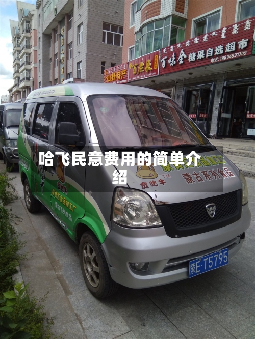 哈飞民意费用的简单介绍-第2张图片