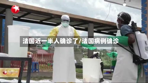 法国近一半人确诊了/法国病例确诊-第3张图片