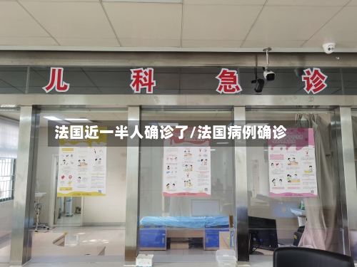 法国近一半人确诊了/法国病例确诊-第2张图片