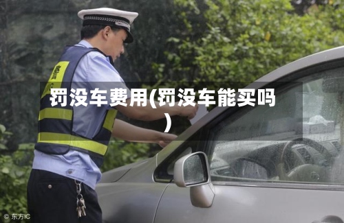 罚没车费用(罚没车能买吗)