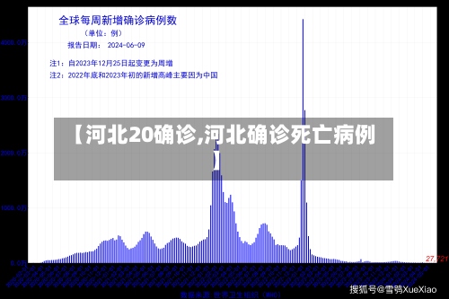 【河北20确诊,河北确诊死亡病例】-第2张图片