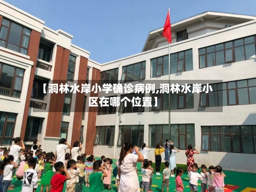 【洞林水岸小学确诊病例,洞林水岸小区在哪个位置】