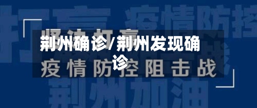 荆州确诊/荆州发现确诊