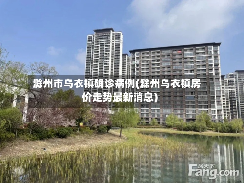 滁州市乌衣镇确诊病例(滁州乌衣镇房价走势最新消息)