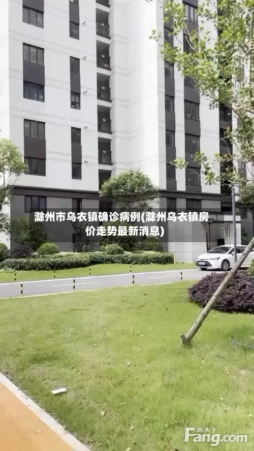 滁州市乌衣镇确诊病例(滁州乌衣镇房价走势最新消息)-第2张图片
