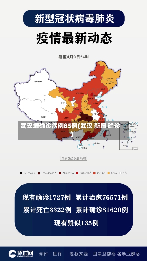 武汉增确诊病例85例(武汉 新增 确诊)-第3张图片