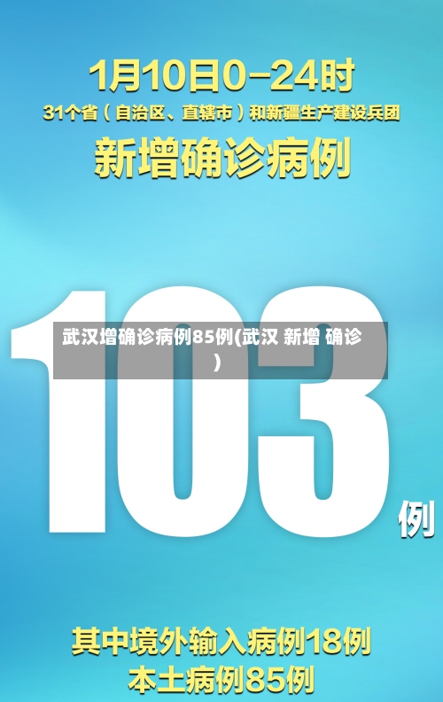 武汉增确诊病例85例(武汉 新增 确诊)-第2张图片