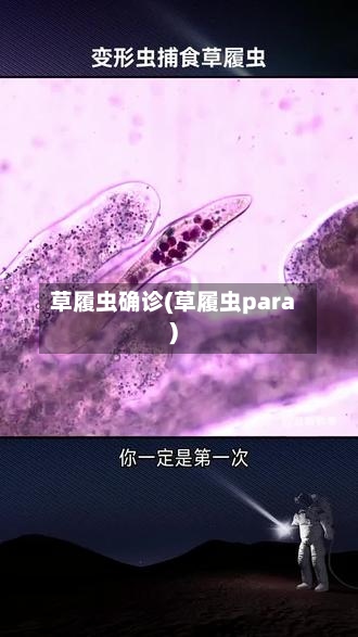 草履虫确诊(草履虫para)