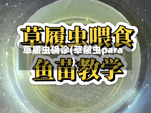 草履虫确诊(草履虫para)-第2张图片