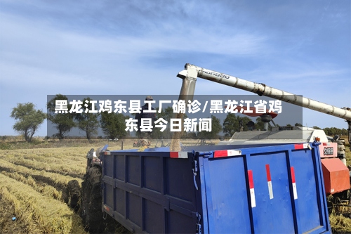 黑龙江鸡东县工厂确诊/黑龙江省鸡东县今日新闻