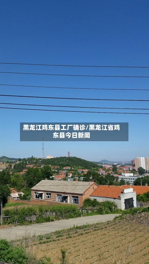 黑龙江鸡东县工厂确诊/黑龙江省鸡东县今日新闻-第3张图片