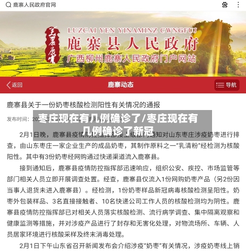 枣庄现在有几例确诊了/枣庄现在有几例确诊了新冠-第2张图片