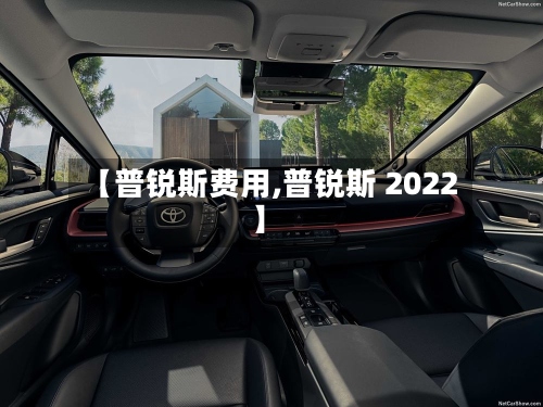 【普锐斯费用,普锐斯 2022】