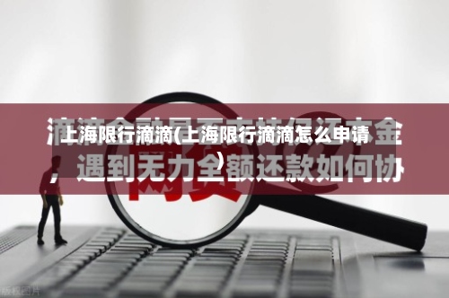 上海限行滴滴(上海限行滴滴怎么申请)-第2张图片