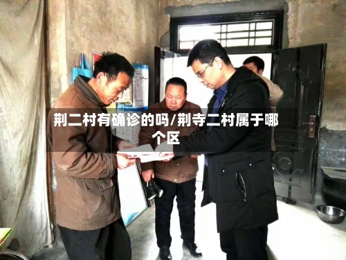 荆二村有确诊的吗/荆寺二村属于哪个区-第3张图片