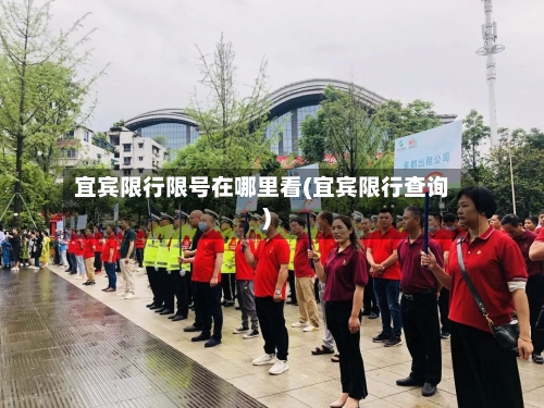 宜宾限行限号在哪里看(宜宾限行查询)-第2张图片