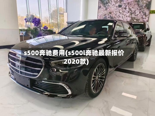 s500奔驰费用(s500l奔驰最新报价2020款)-第3张图片