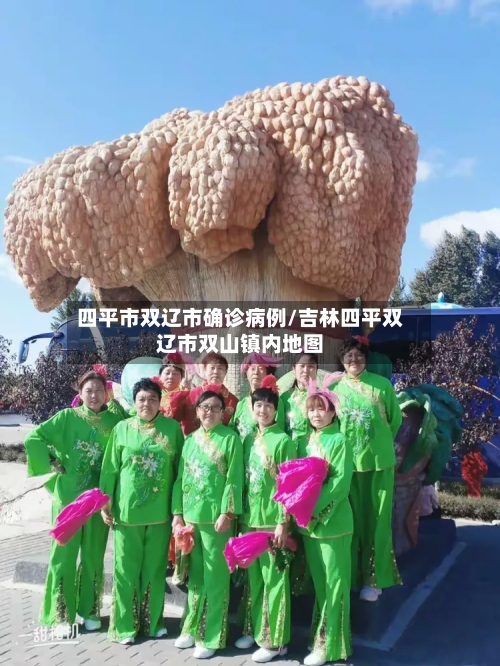 四平市双辽市确诊病例/吉林四平双辽市双山镇内地图