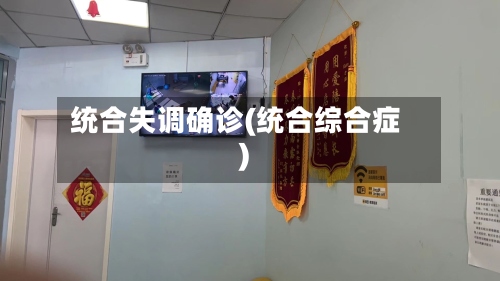 统合失调确诊(统合综合症)-第3张图片