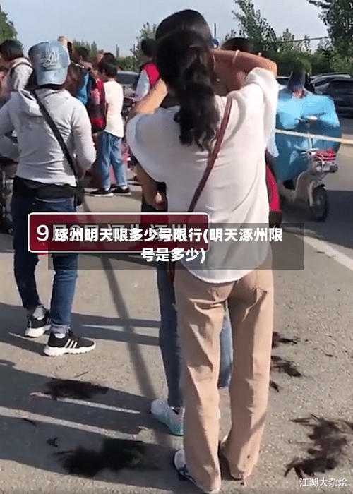 琢州明天限多少号限行(明天涿州限号是多少)