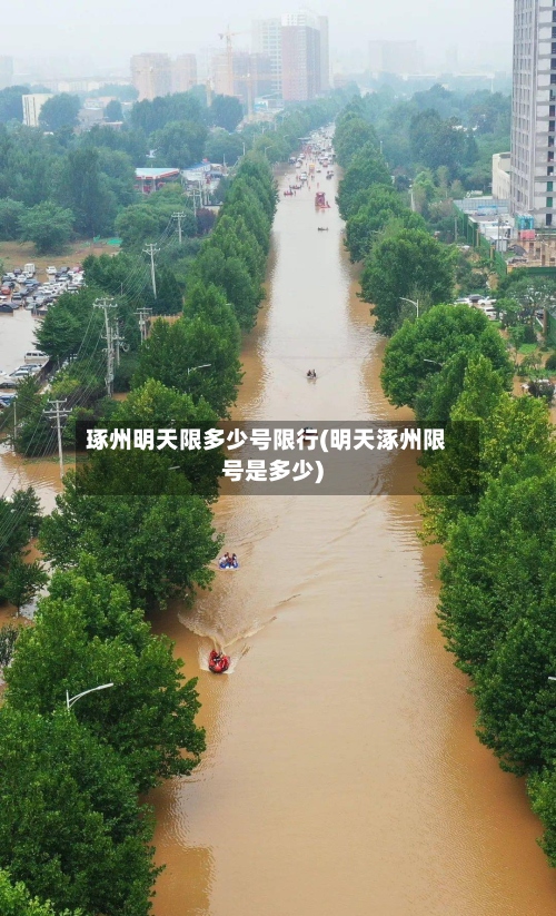琢州明天限多少号限行(明天涿州限号是多少)-第3张图片
