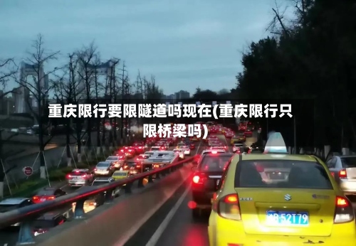 重庆限行要限隧道吗现在(重庆限行只限桥梁吗)-第2张图片