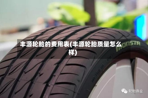 丰源轮胎的费用表(丰源轮胎质量怎么样)-第3张图片