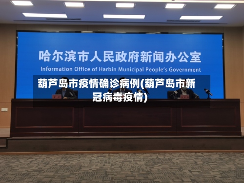 葫芦岛市疫情确诊病例(葫芦岛市新冠病毒疫情)