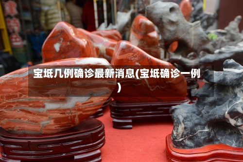 宝坻几例确诊最新消息(宝坻确诊一例)