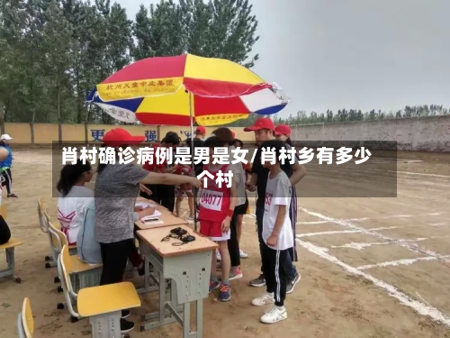 肖村确诊病例是男是女/肖村乡有多少个村