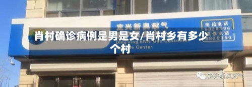 肖村确诊病例是男是女/肖村乡有多少个村-第3张图片