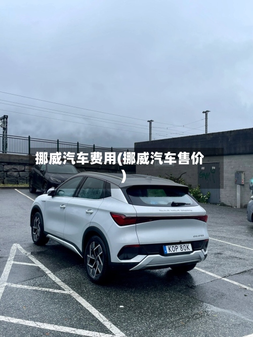挪威汽车费用(挪威汽车售价)