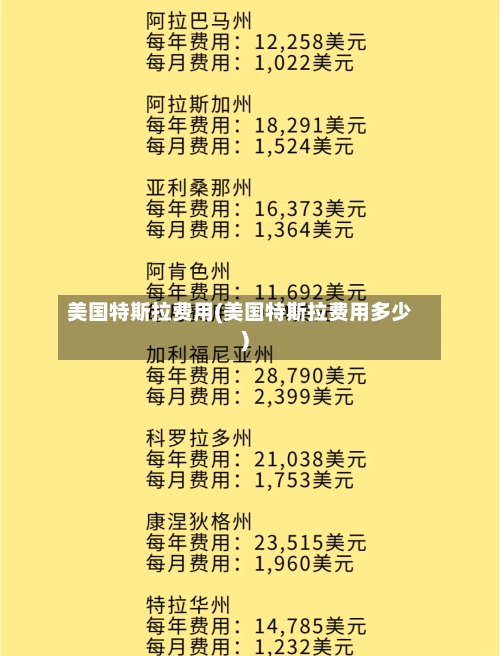 美国特斯拉费用(美国特斯拉费用多少)-第2张图片