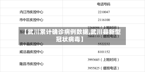 【武川累计确诊病例数据,武川县新型冠状病毒】-第3张图片