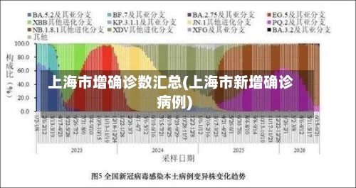 上海市增确诊数汇总(上海市新增确诊病例)-第2张图片