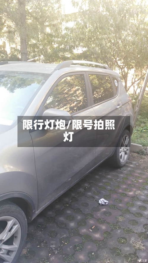限行灯炮/限号拍照灯
