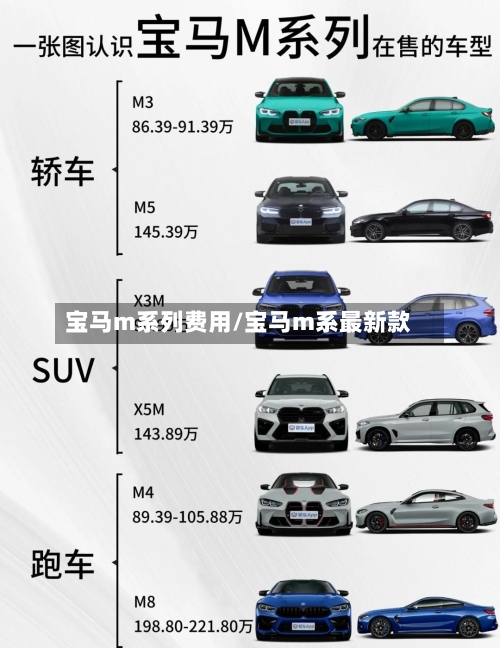 宝马m系列费用/宝马m系最新款-第2张图片