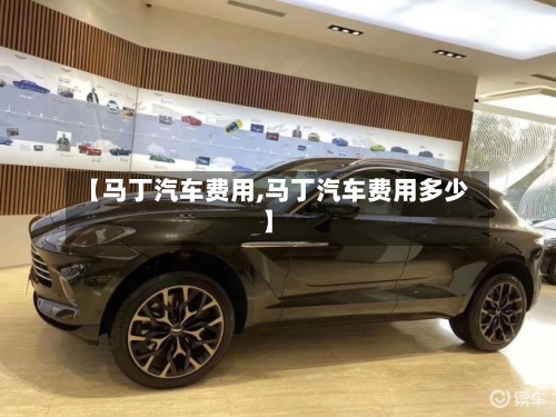 【马丁汽车费用,马丁汽车费用多少】-第3张图片