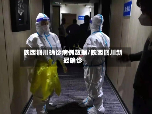 陕西铜川确诊病例数据/陕西铜川新冠确诊-第3张图片