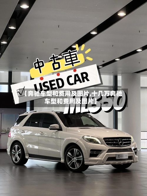 【奔驰车型和费用及图片,十几万奔驰车型和费用及图片】