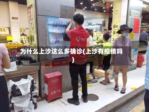 为什么上沙这么多确诊(上沙有疫情吗)-第3张图片