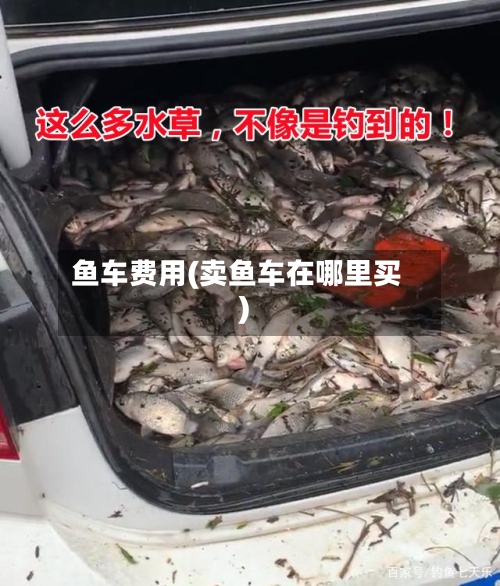 鱼车费用(卖鱼车在哪里买)