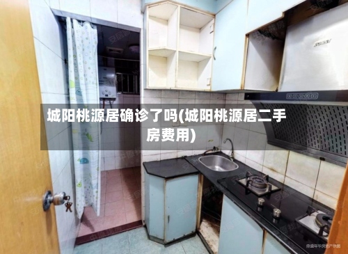 城阳桃源居确诊了吗(城阳桃源居二手房费用)-第3张图片