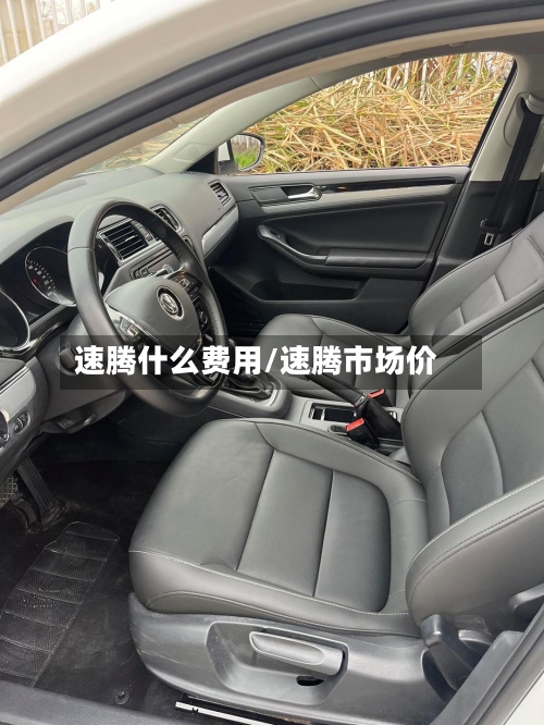速腾什么费用/速腾市场价-第3张图片