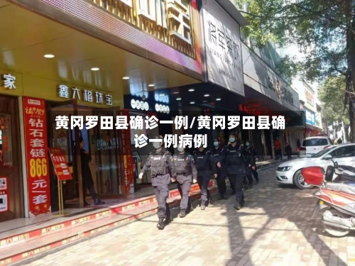 黄冈罗田县确诊一例/黄冈罗田县确诊一例病例