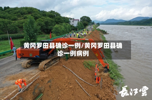 黄冈罗田县确诊一例/黄冈罗田县确诊一例病例-第3张图片